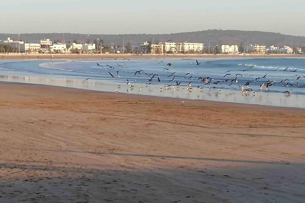 Vila Darsal-Bwindi, Pour Tomber Amoureux D'Essaouira ! Exteriér fotografie